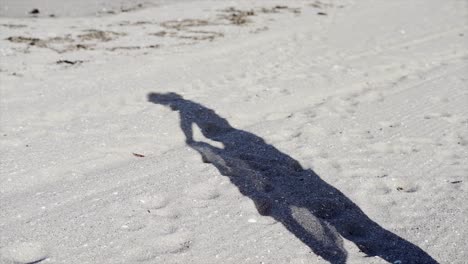 shadow on a sandy beach