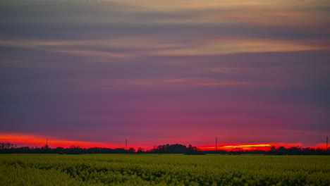 Zeitraffer-Eines-Sonnenuntergangs-Mit-Orangefarbenem-Himmel-über-Einer-Grünen-Wiese