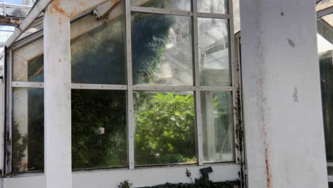 old greenhouse