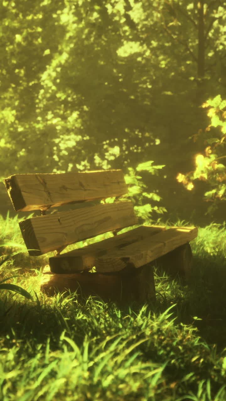Serene park bench surrounded by lush greenery in a tranquil setting
