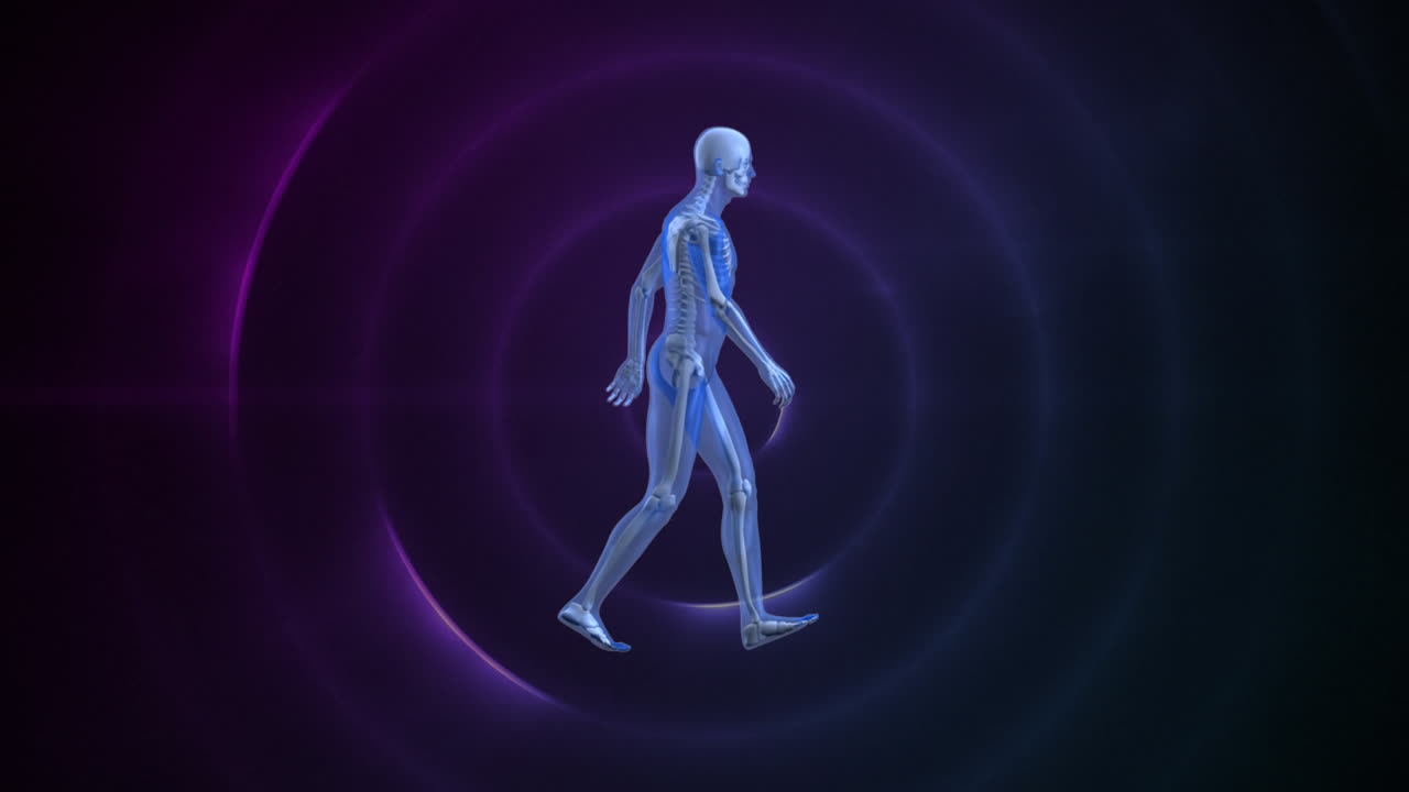 보라색 원 안에 걸어다니는 인간의 원형