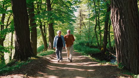 senior couple walking hand in hand in a forest