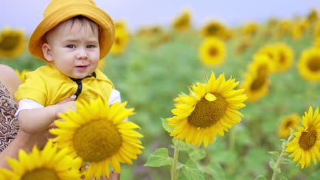 beautiful little caucasian boy in mom's hands in agricultural field. cute toddler in yellow panama playing with sunflowers in blossom.