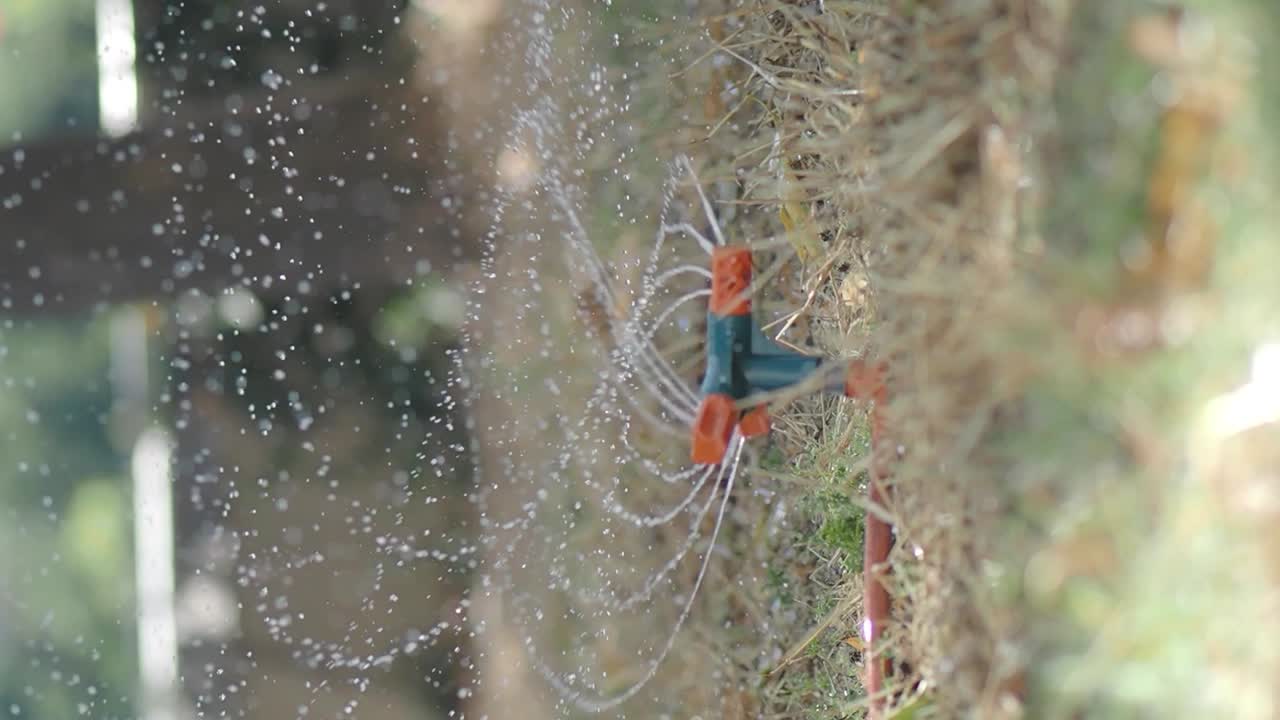 Watering the garden with a sprinkler