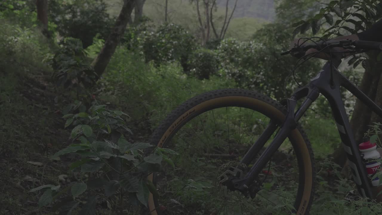 Cycling  Mountain biking Sport