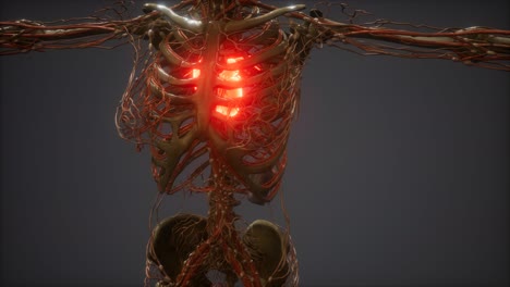 cg animation of a sick human heart