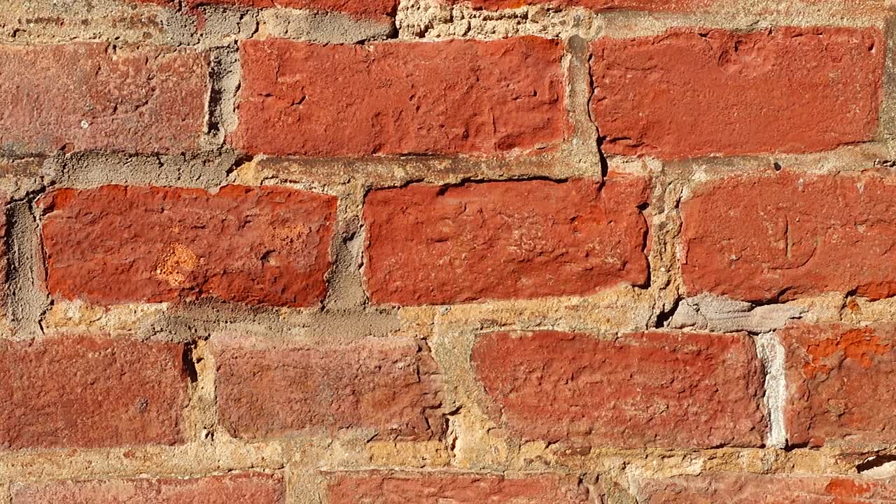 The wall is brick. Shooting background