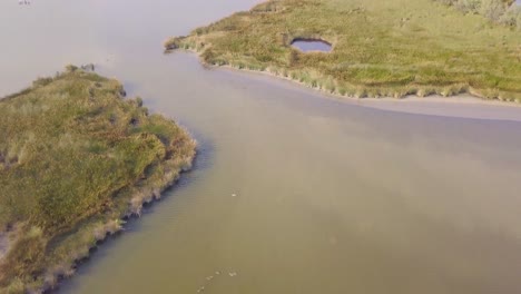 drone flight over swamps and flooded fields