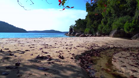 Tropisches-Paradies-Abgeschieden-Ruhig,-Sandstrand-Neben-üppigen-Wald-Klares-Blaues-Wasser