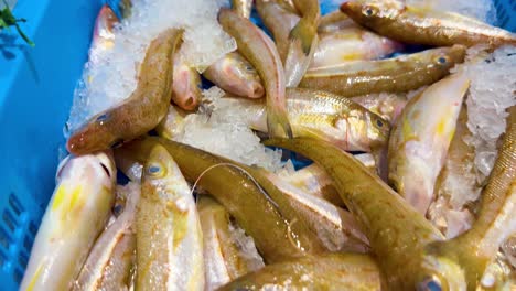 pescado de merluza en el hielo para la venta