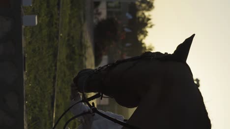 horseback rider cuddling his unique brown horse under sunlight in horse track