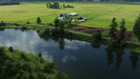 aerial drone fly by of stand up paddle boarders on beautiful peaceful lake surrounded by lush green grass fields