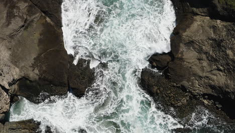 ascending above a pool of white water smashing onto a rocky shoreline