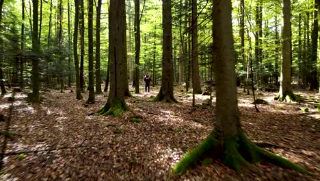 tiro firme en el bosque con una persona centrada