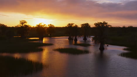 sunset over a tranquil swamp with cypress trees