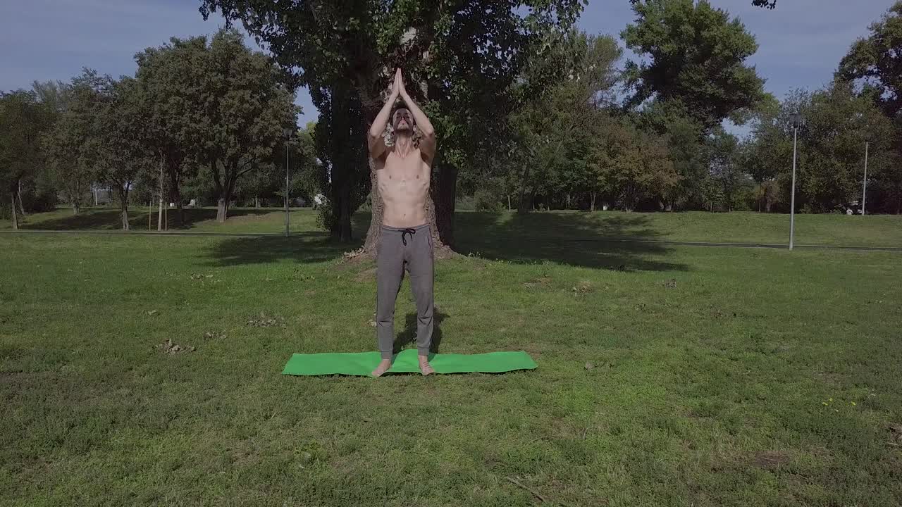 Belo jovem iogue fazendo alongamento da postura da árvore de yoga no parque, conceito de bem-estar Zen e estilo de vida em contato com a natureza.