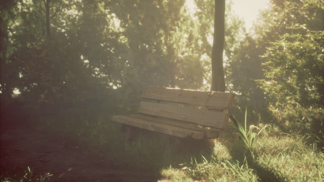 Serene wooden bench surrounded by lush greenery in a tranquil park setting