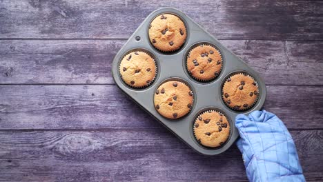 chocolate chip cupcakes in a muffin tin