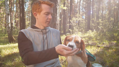 teenager feeding beagle in a forest