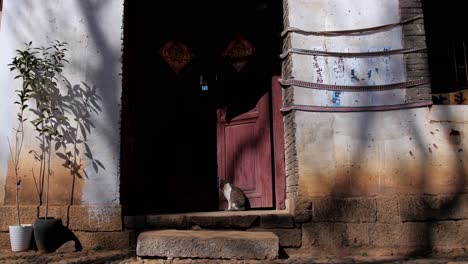Push-in-towards-sleeping-cat-sitting-in-Shaxizhen-Shaxi-village-doorway-entrance