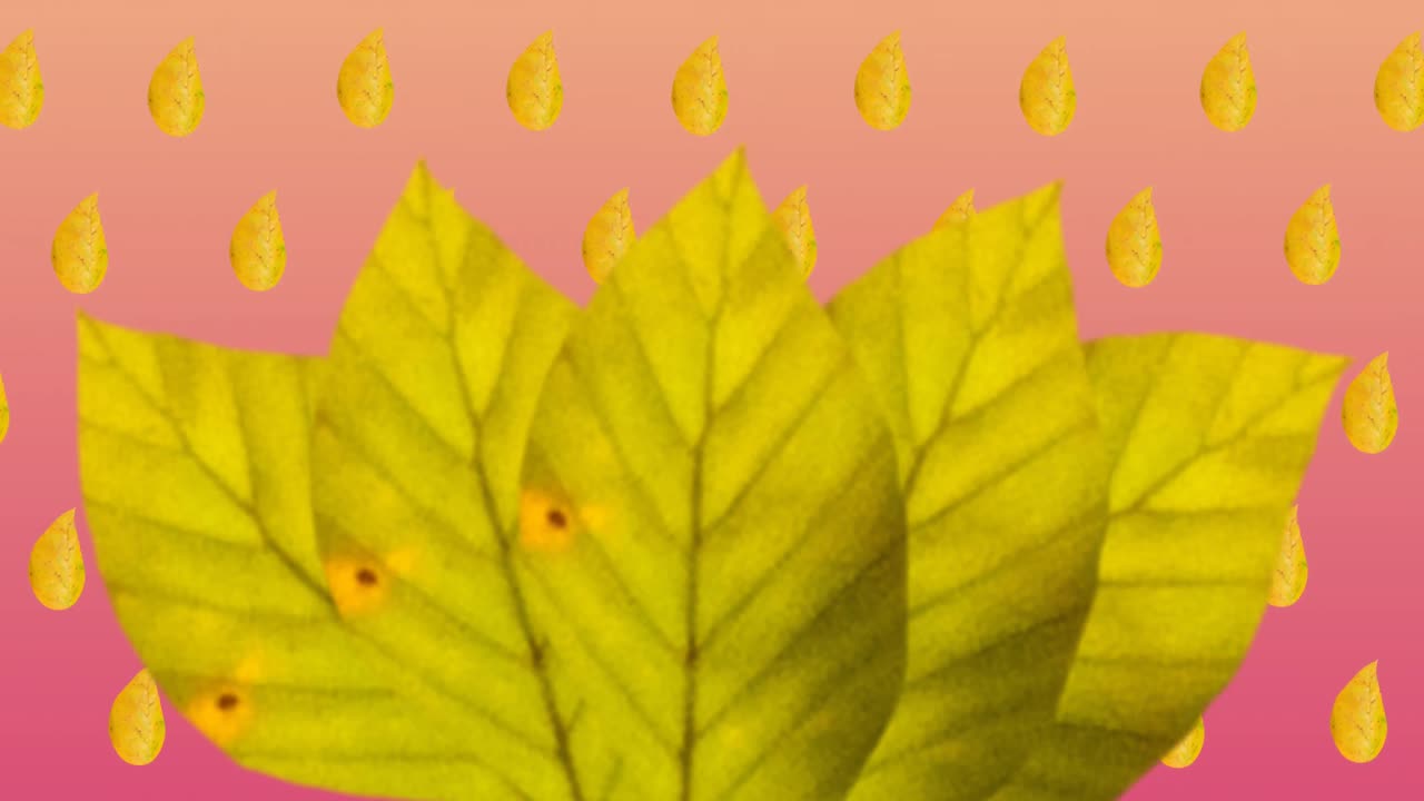 hojas de otoño contra múltiples iconos de hojas de otoño en un patrón sin costuras en un fondo de gradiente rosa