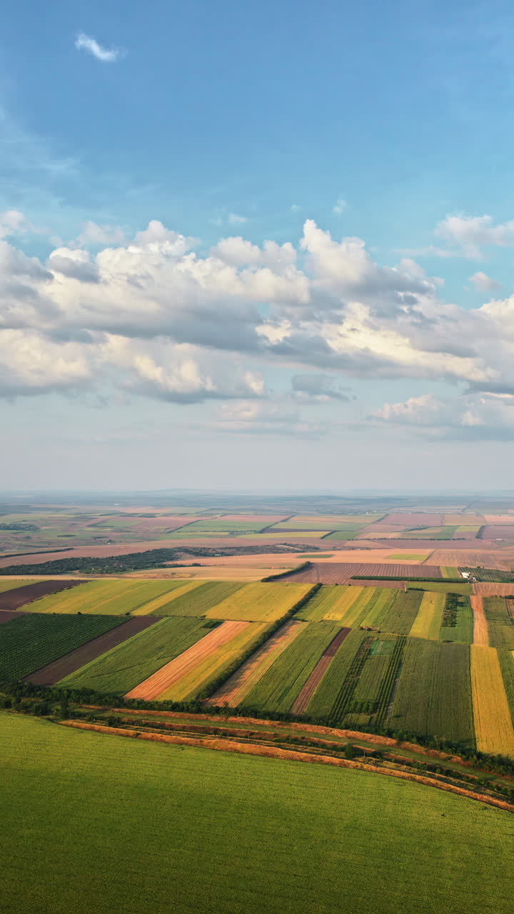 Aerial drone view of the vast Moldovan countryside with colorful patchwork fields stretching to the horizon under a partly cloudy sky. Vertical