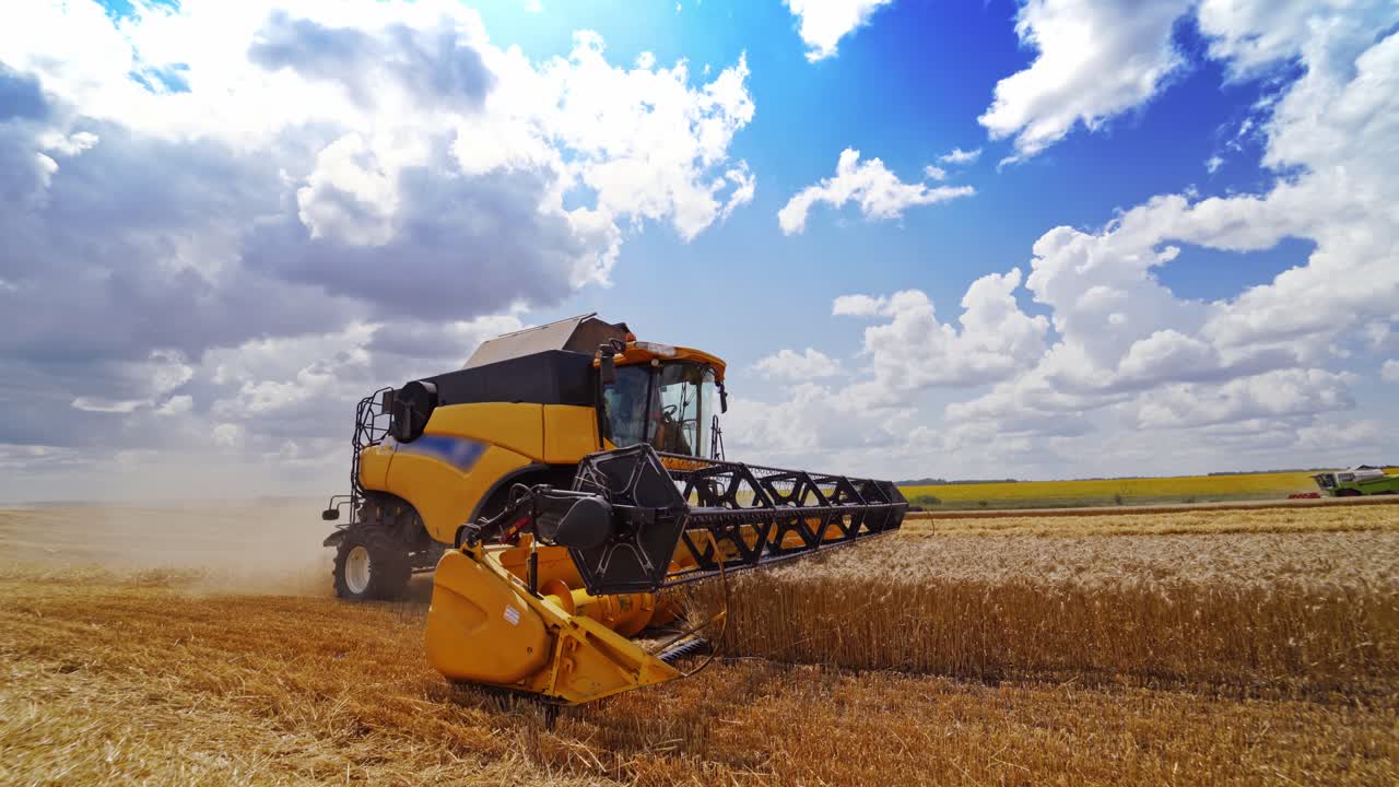 Modern combine harvester cutting spikelets of ripe wheat. Agricultural machine gathering crop on the yellow field. Food industry concept.