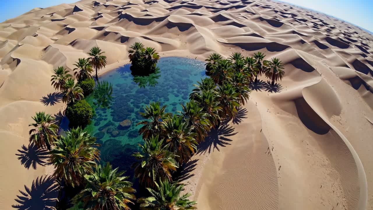 Vista aerea di un'oasi nel deserto circondata da dune di sabbia, che cattura il contrasto del verde lussureggiante