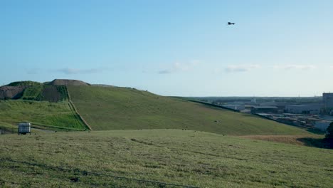 rural landscape with landfill and birds