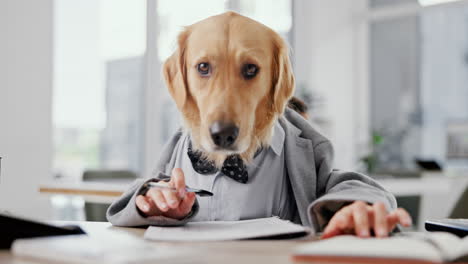 Golden retriever dressed as a business executive working at a desk in an office