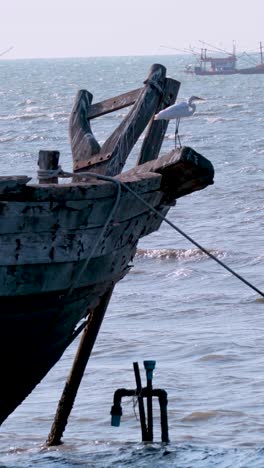 una garza en un barco, las olas en el fondo