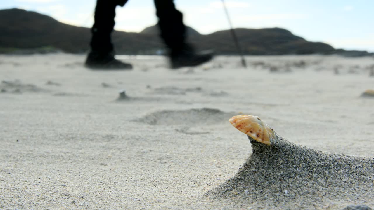 sand blowing in wind with shell in foreground, Sanna Bay, Ardnamurchan, Scotland