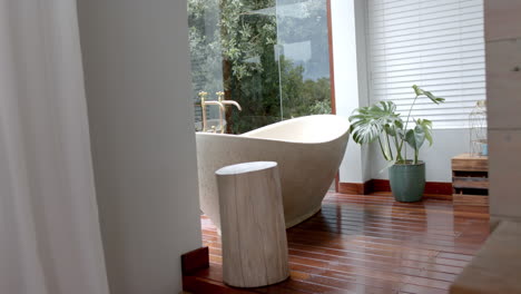 general view of bathroom with bathtub and window, slow motion