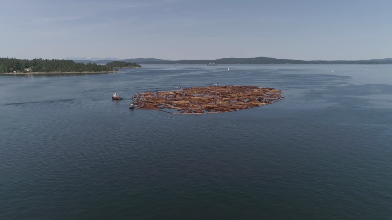 Timber logs floating on water by the coast of Vancouver Island (British Columbia - Canada). Drone footage.