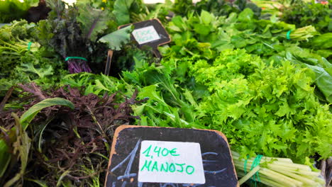 Fresh-green-salad-leaves-herbs-from-the-local-farm-for-sale-at-an-organic-farmers-market,-healthy-bio-greens,-4K-shot