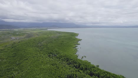 Atemberaubende-Aussicht-Auf-Das-Meer-Und-Die-üppige-Waldlandschaft-In-Der-Nähe-Des-Four-Mile-Beach-In-Port-Douglas,-Queensland,-Australien