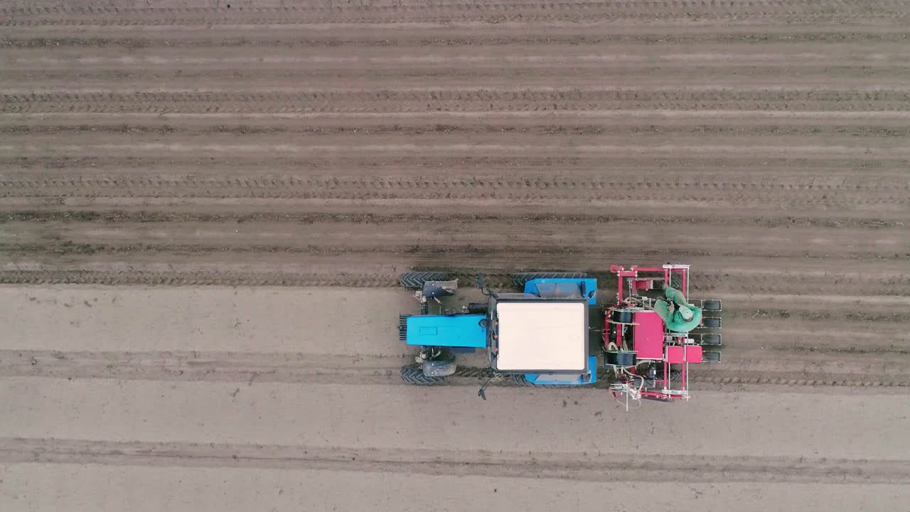 에 관개 시스템의 설치. 에서 일하는 트랙터의 공중 영상. 당근을 심는