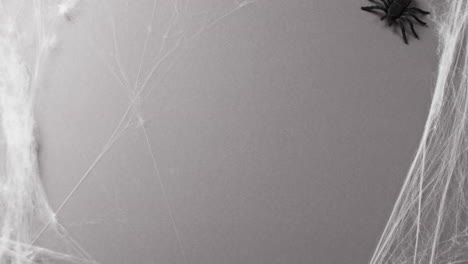video de la araña de halloween y la tela de araña y copia el espacio en fondo gris