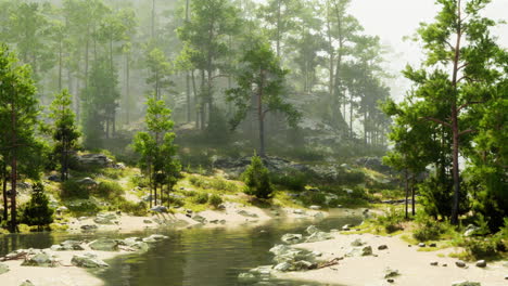 tranquil forest scene with river and fog