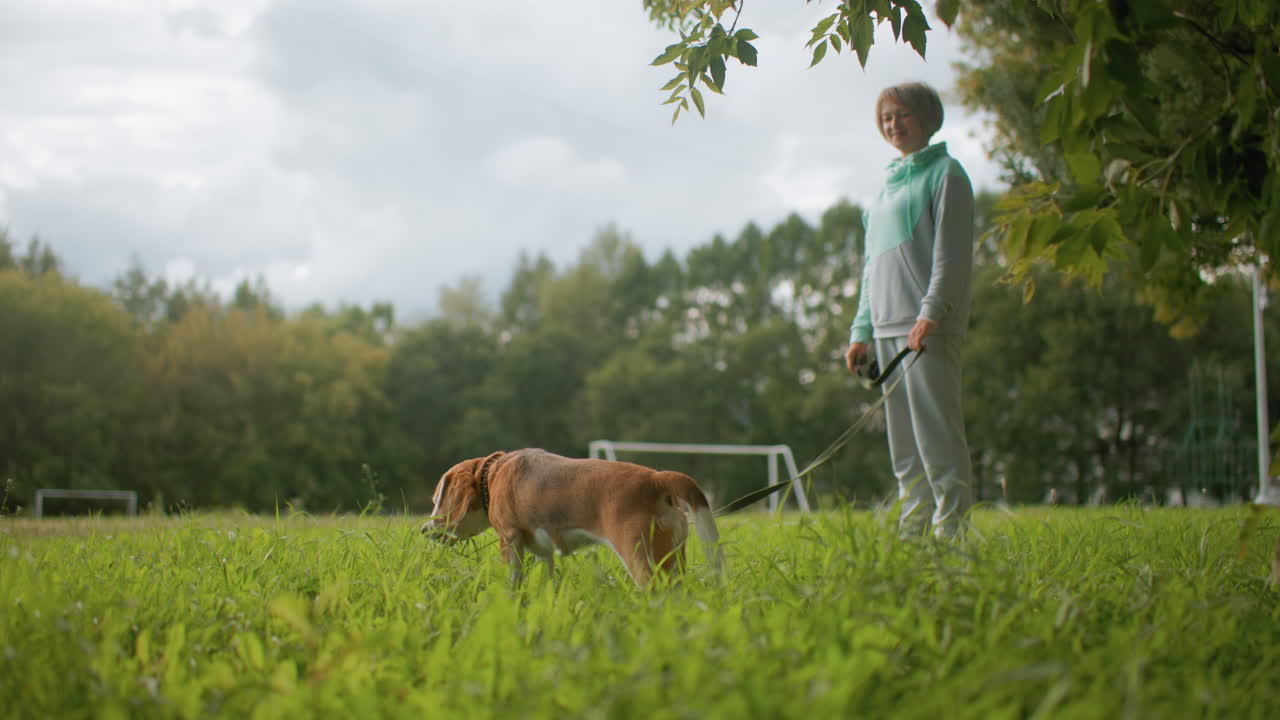 Owner standing calmly on grassy field holding leash while watching dog sniff and feed among tall green grass under cloudy sky surrounded by trees and soccer goalposts in peaceful natural environment