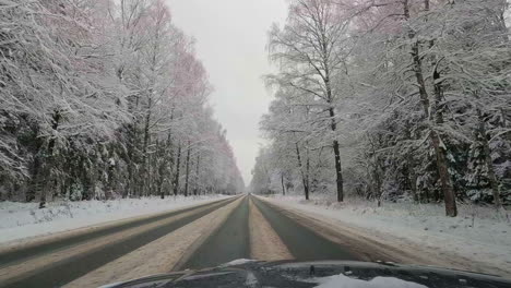 point of view of car driving down a slushy road with trees filled with snow