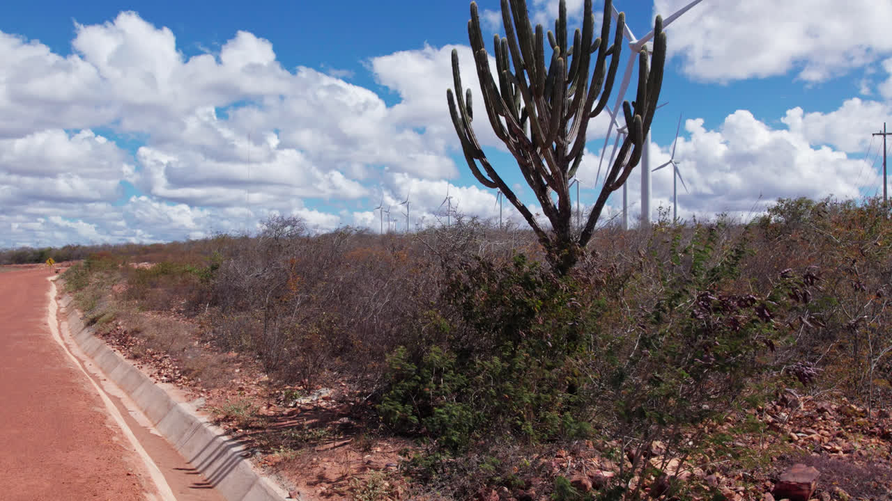 Rising aerial view of cactus and wind turbines in red deserted dirt road with a beautiful cloudy blue sky
