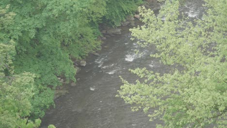 Wissahickon-Creek,-high-angle,-looking-fown-from-Walnut-Lane-bridge