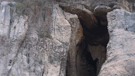 medium exterior shot of thousand of bats flying out from a cave