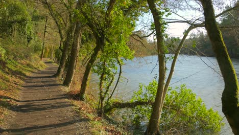 wind blowing on etang saint nicolas pond with empty trail in angers, france