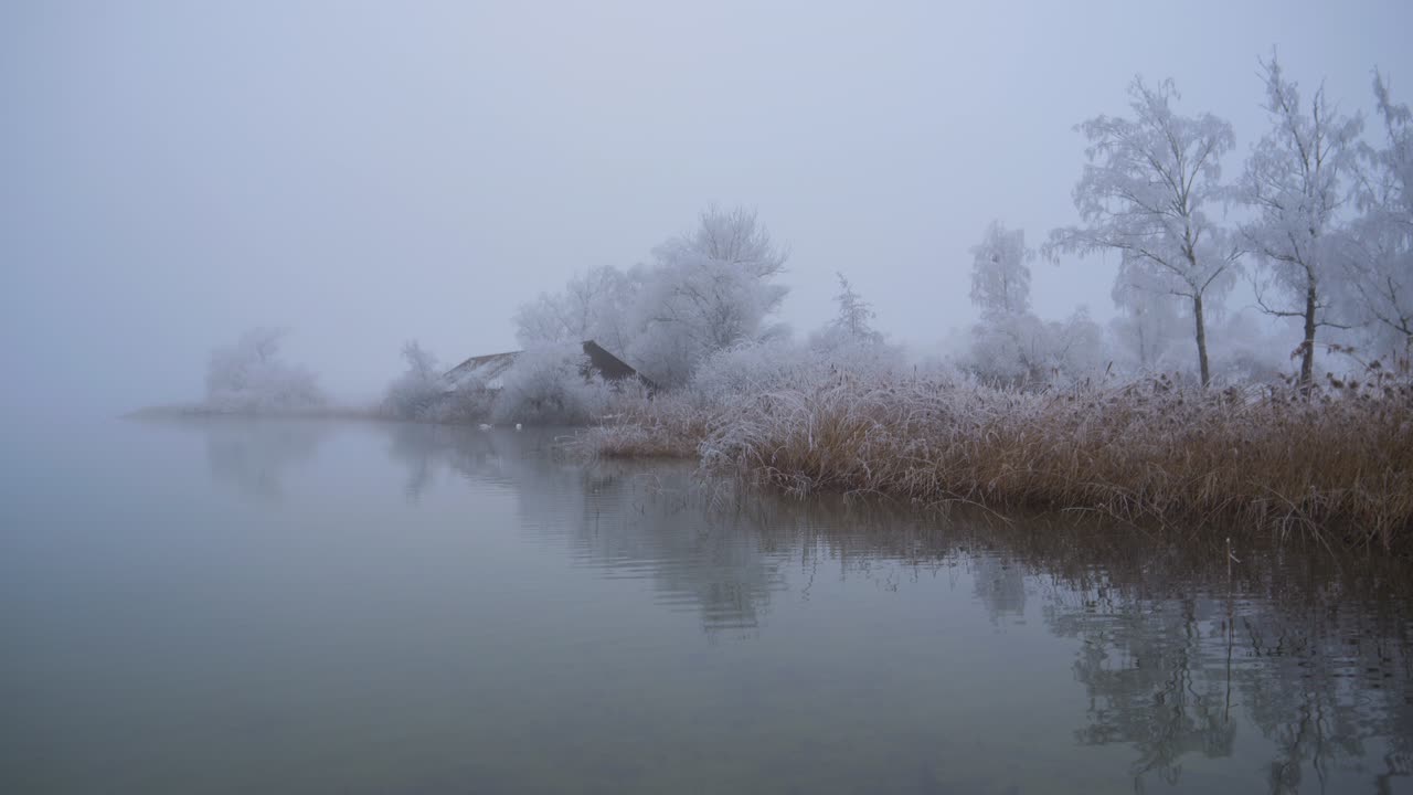 호수 위의 신비로운 분위기, 겨울이고 나무는 색이고, 안개는 두고, 물은 가라앉고, 배경은 안개 속으로 사라지고, 겨울의 아름다운 풍경, 원더랜드 스카이.