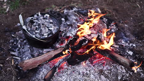 slow motion shot looking down at rustic campfire with camp oven covered in coals to the side