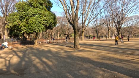 people enjoying leisure time outdoors