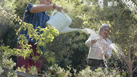 happy biracial senior couple watering plants in sunny garden