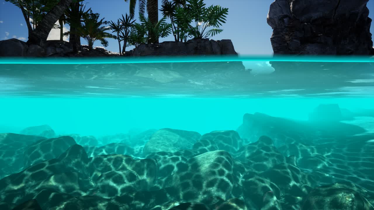 sezione trasversale dell'acqua di mare e delle palme sull'isola